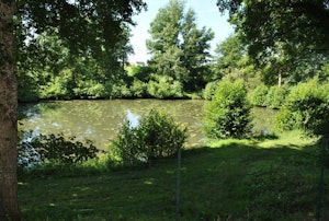 Forêt d'Amboise