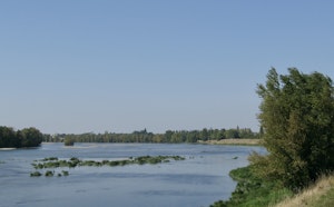 Banks of the Loire in Bou