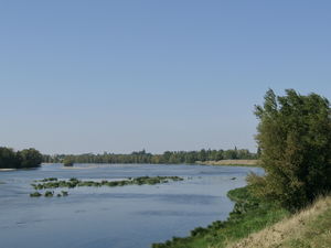 Banks of the Loire in Bou