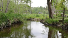 Between Vouzeron and Saint-Laurent