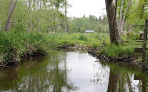 Between Vouzeron and Saint-Laurent