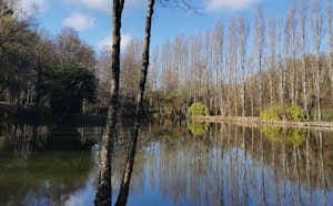 Autour de Pernay