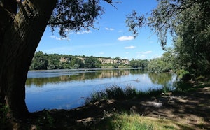 Île de la Métairie