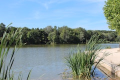 Lac de la Pinçonnière