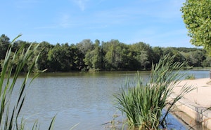 Lac de la Pinçonnière