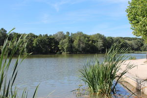 Lac de la Pinçonnière