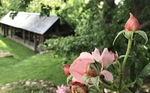 Around Néron
