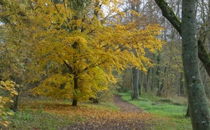 Around Mézières-lez-Cléry