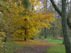 Around Mézières-lez-Cléry