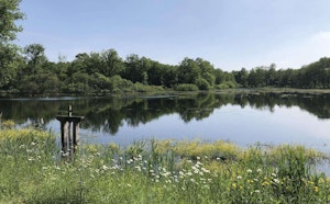 Ponds of Fontaines-en-Sologne