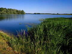 Retenue de Pincemaille