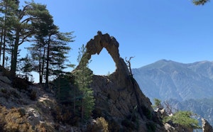 Arche de Corte