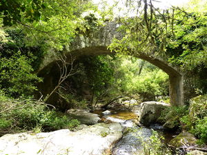 Autour d'Olmi-Cappella