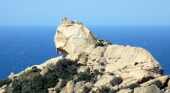 Cap de Roccapina