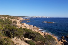 Capo di Feno