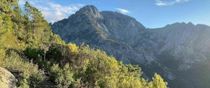 Finocchi Loop