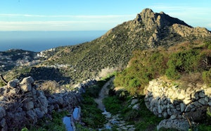 Sant’Antonino and Couvent de Corbara