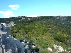 Santa Manza