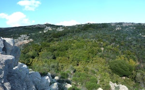 Santa Manza