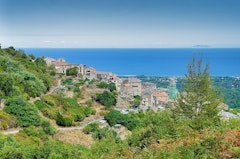 Scupiccia