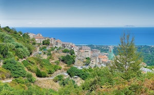 Scupiccia