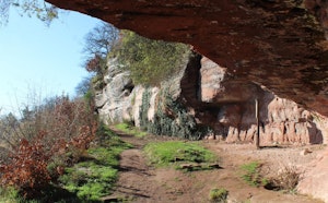 Archaeological Tour of Pays de Saverne