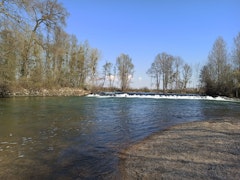 Around Rhèges
