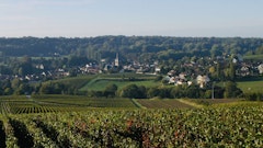 Around Saint-Martin-d'Ablois