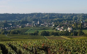 Around Saint-Martin-d'Ablois