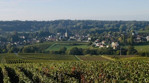 Around Saint-Martin-d'Ablois