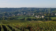 Around Saint-Martin-d'Ablois