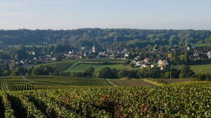 Autour de Saint-Martin-d'Ablois