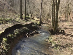 Around the Naidimont