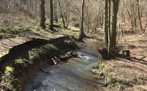 Around the Naidimont