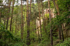 Circuit de Voegtlinshoffen