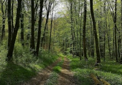 Around Serrouville