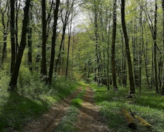 Around Serrouville