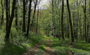 Around Serrouville