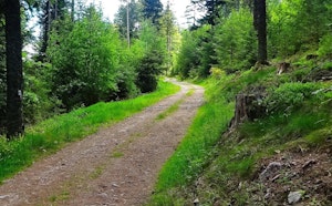 Sentier Forestier de l'Axwald