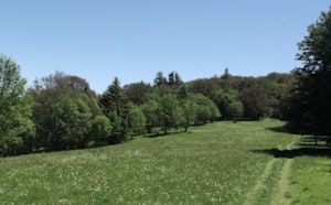 Doller Valley and Baerenkopf