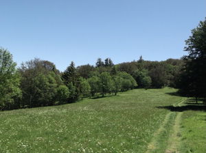 Doller Valley and Baerenkopf