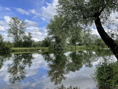 Ballastière des Ayvelles