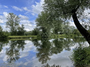 Ballastière des Ayvelles