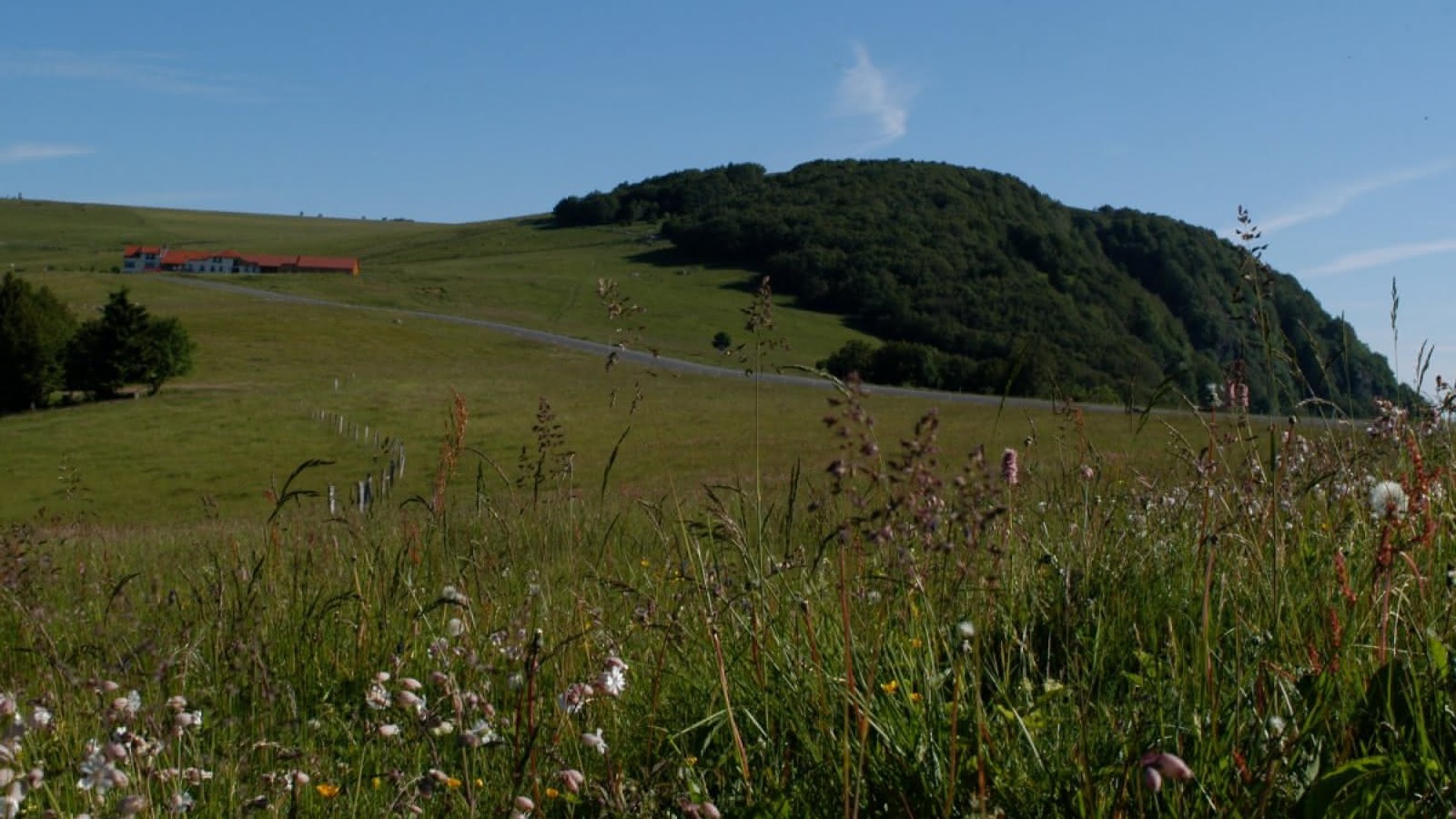 Ballon d'Alsace depuis le lac d'Alfeld