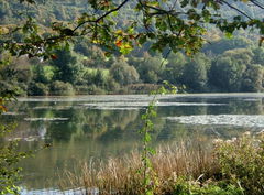 Circuit de Bellefontaine