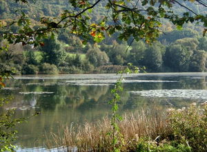 Circuit de Bellefontaine