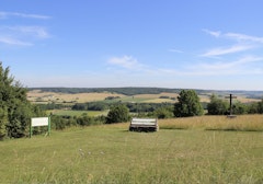 Bois de Bohanne