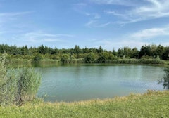 Bois de Coulange