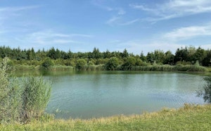 Bois de Coulange