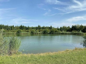 Bois de Coulange